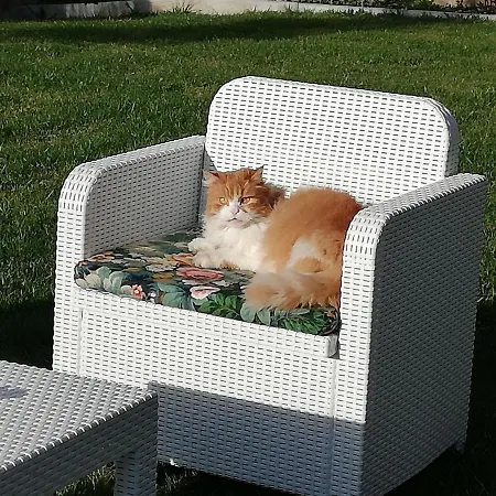 Lejlighed Casa Di Pietro Aretino, Centro Storico 4-8 Letti Arezzo